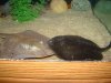 DSC00624.JPG