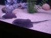 DSC00625.JPG