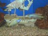 IMG_0368.JPG