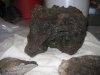 Aquarium Rock 092.jpg