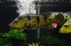 temptank13.JPG