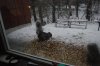 DSC_0021.JPG