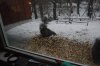DSC_0022.JPG
