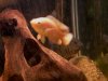 Albi and Sev.JPG Albi and Sev.JPG