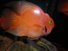 Feb '09 122.jpg