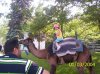 camel.JPG