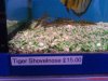 DSC00492.JPG