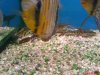 DSC00493.JPG