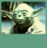 yoda.jpeg