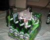 63 Drunk Cat.jpg