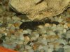 DSCF0159.JPG