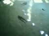 DSC08688.JPG