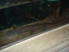 DSC08705.JPG