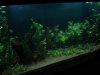 DSC08748.JPG