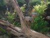 DSC08741.JPG