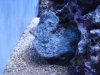 DSC08769.JPG