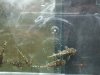 DSCF1743.jpg