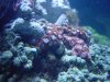 DSC00280.JPG