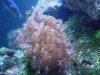 DSC00287.JPG