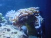 DSC00289.JPG