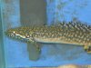 DSCN3978.JPG
