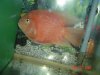 DSC05574.JPG