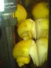 DSC01691.JPG