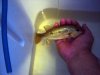 DSC03956.JPG