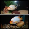 b4&after.jpg