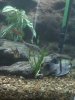 02-03-09_1451.jpg