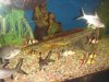 DSC04320.JPG