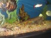 DSC04318.JPG