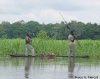 5895%20fishing%20along%20Ubange%20R.jpg