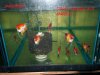 ORANGE KOI.jpg