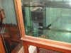 DSC05398.JPG