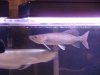 DSC02101.JPG