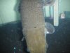 DSCN7310.JPG DSCN7310.JPG