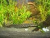 100_2438.JPG