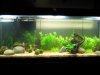 IMG_0623.JPG