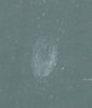 whatisit.jpg
