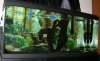 DSCN1188.JPG DSCN1188.JPG