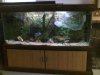 Picture0104.jpg