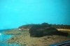 113_1166.JPG
