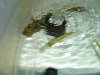 DSC04256.JPG