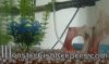 DSCF2765.JPG