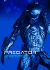 predator.jpg