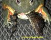 pixie%20eating%206-25.jpg
