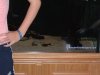 DSCF0007.JPG