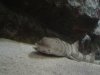 DSC05120.jpg