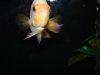 DSC01213.JPG